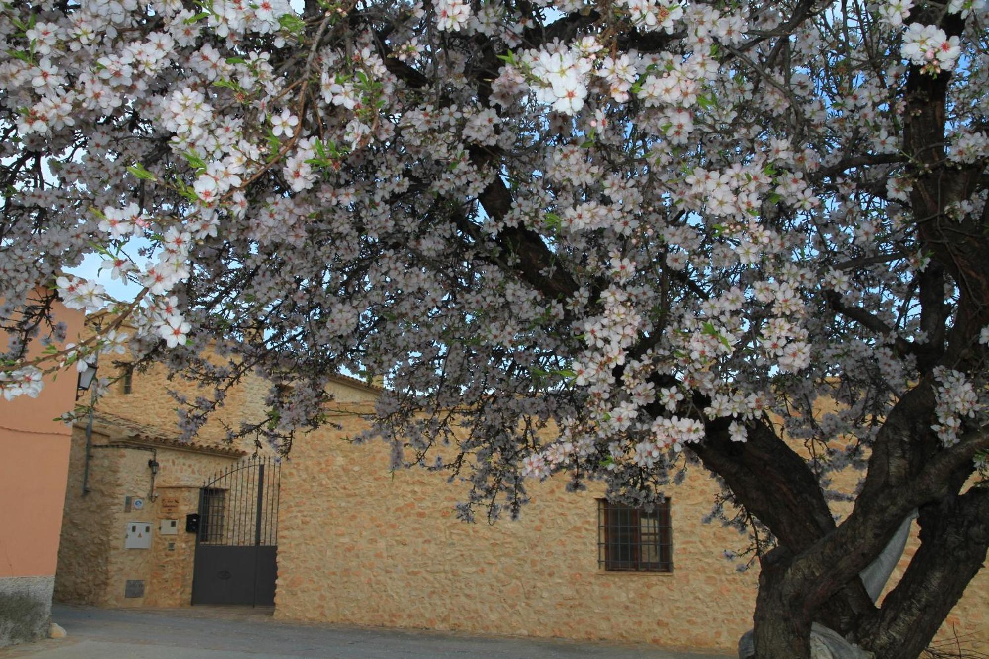 Alojamientos Rurales Cortijo Las Golondrinas Alhama de Murcia Exteriér fotografie