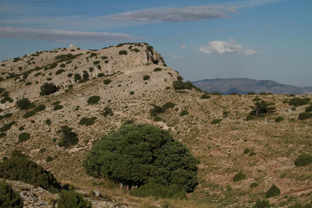 Alojamientos Rurales Cortijo Las Golondrinas Alhama de Murcia Exteriér fotografie