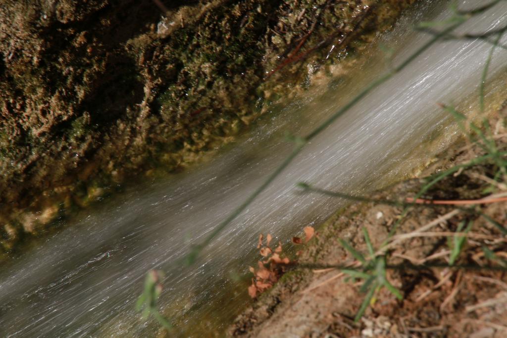 Alojamientos Rurales Cortijo Las Golondrinas Alhama de Murcia Exteriér fotografie