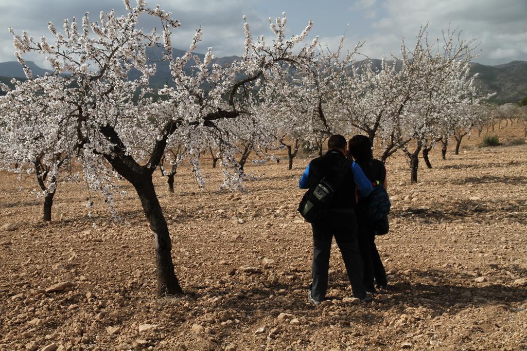 Alojamientos Rurales Cortijo Las Golondrinas Alhama de Murcia Exteriér fotografie