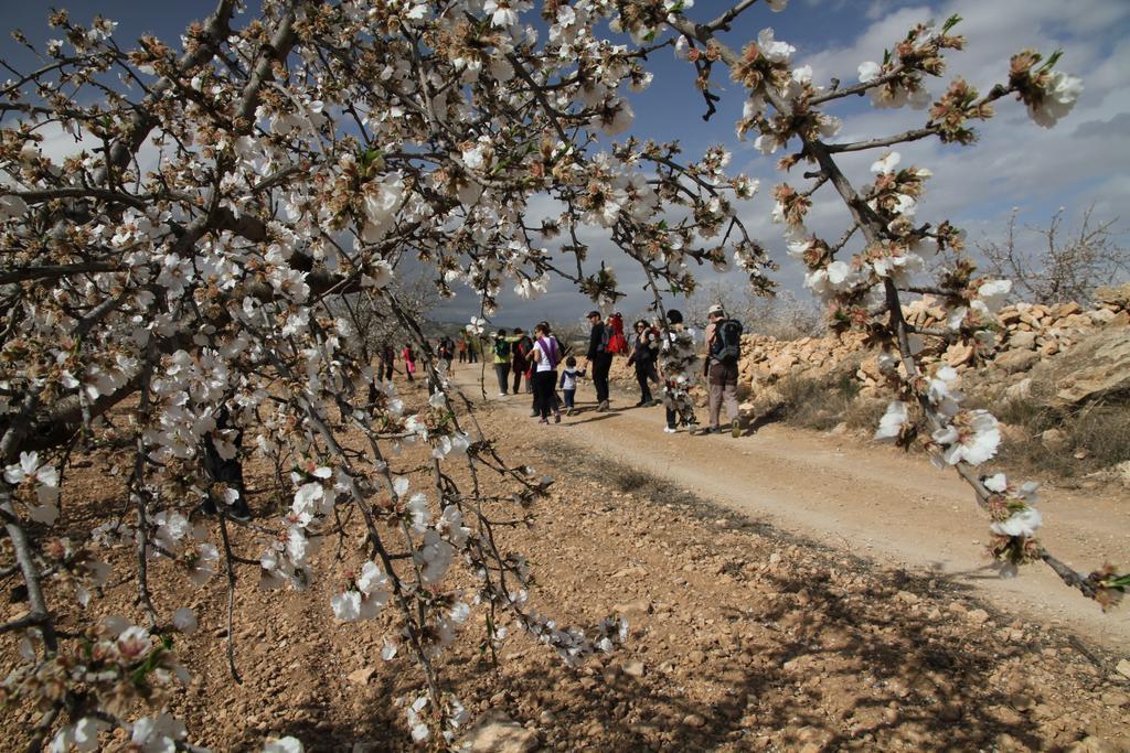 Alojamientos Rurales Cortijo Las Golondrinas Alhama de Murcia Exteriér fotografie