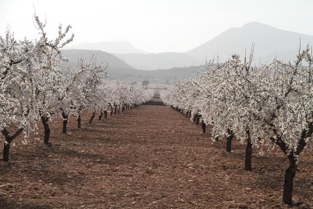 Alojamientos Rurales Cortijo Las Golondrinas Alhama de Murcia Exteriér fotografie