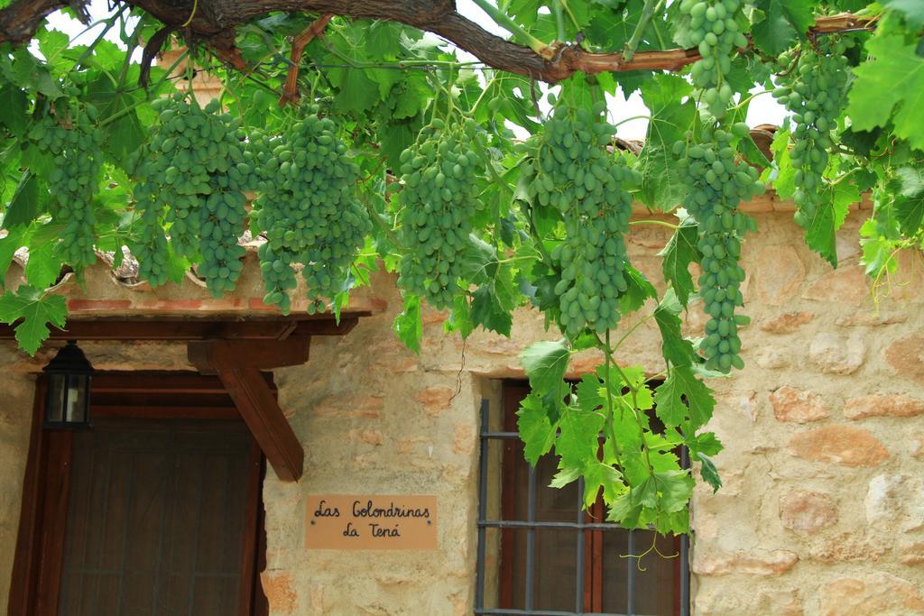 Alojamientos Rurales Cortijo Las Golondrinas Alhama de Murcia Exteriér fotografie